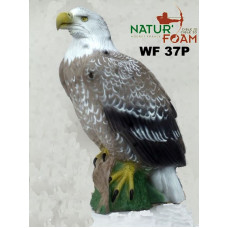 Natur Foam EAGLE WITH WHITE HEAD